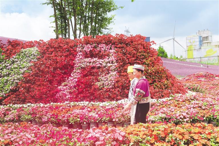 花溪：“生态立区”逐绿行(图1)