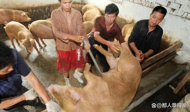 中年人肯放下面子脚踏实地做这3个生意看似冷门利润却很高(图2)