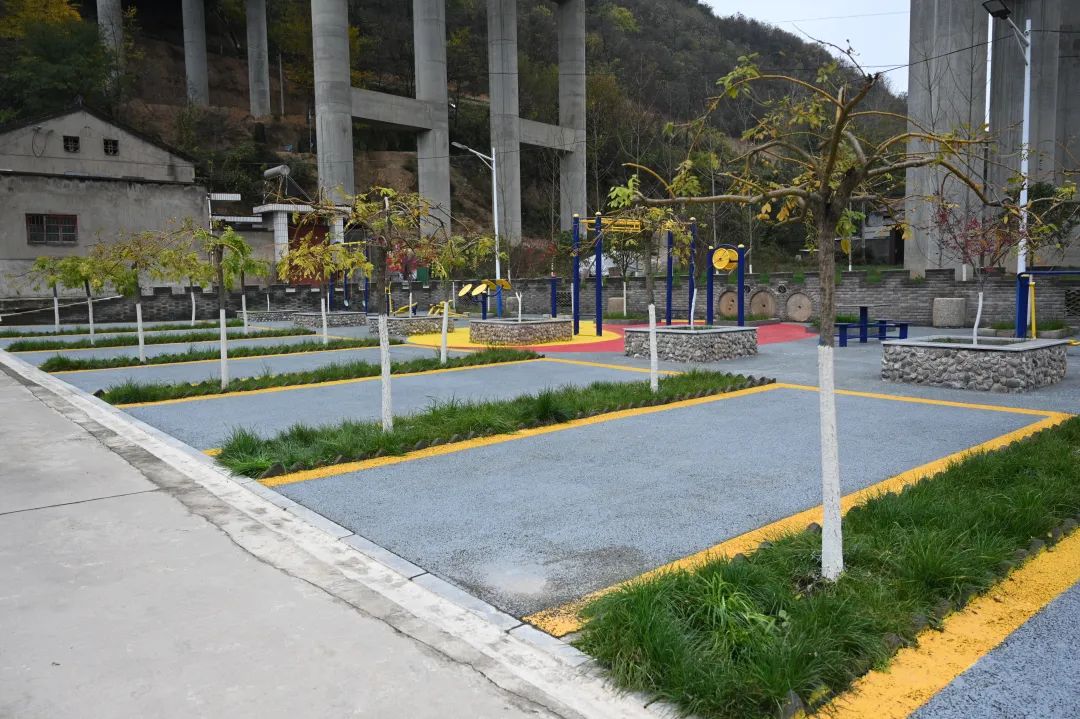 渭滨区“美丽庭院”创建焕发乡村新气象(图2)