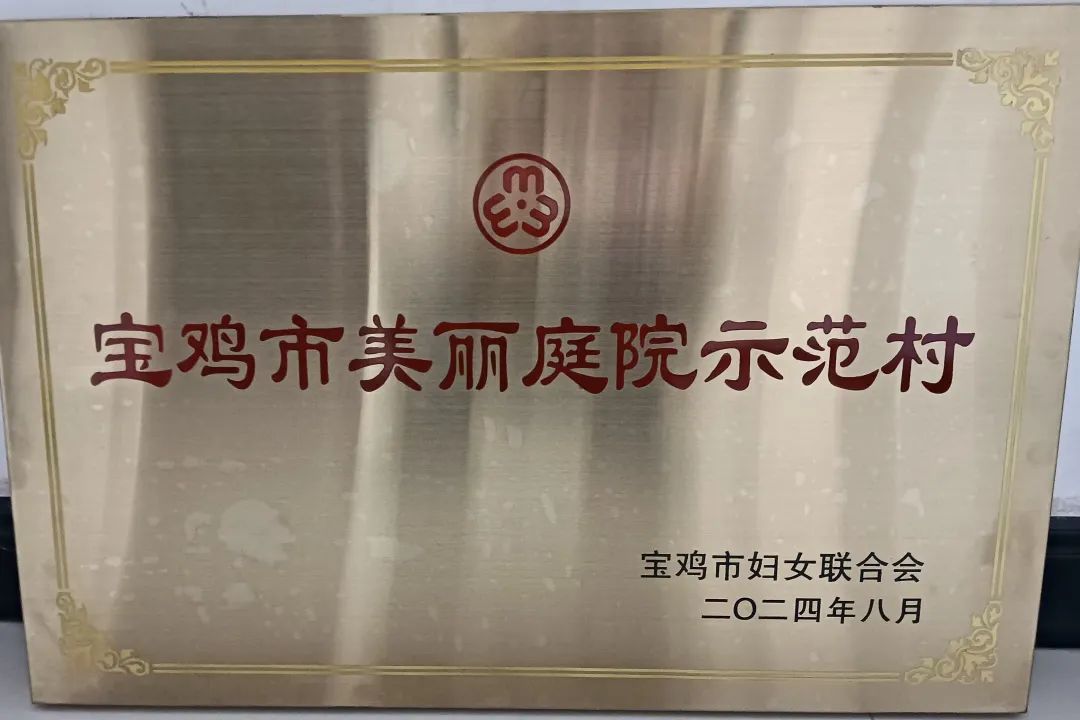 渭滨区“美丽庭院”创建焕发乡村新气象(图4)