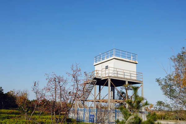 美丽高新款款来(图3)