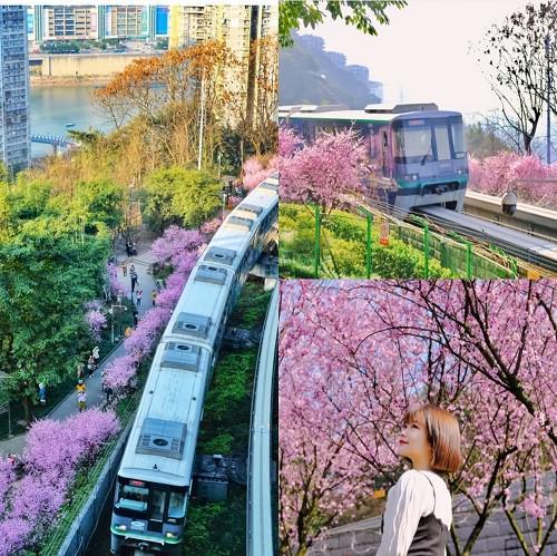 重庆洪崖洞鼓浪屿五日游参团靠谱路线重庆五日游详细攻略(图2)