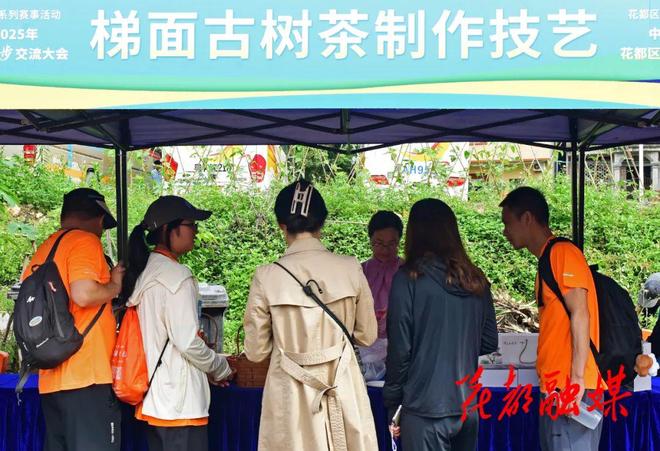 治愈系狂欢！千人徒步穿越“绿野仙踪”(图8)