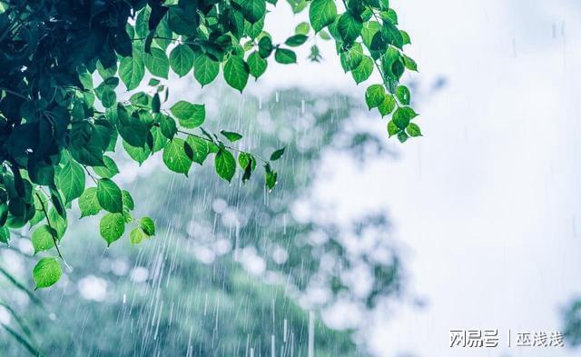 2025梅雨时间表出炉！38天超长梅雨季农民朋友咋应对？(图8)