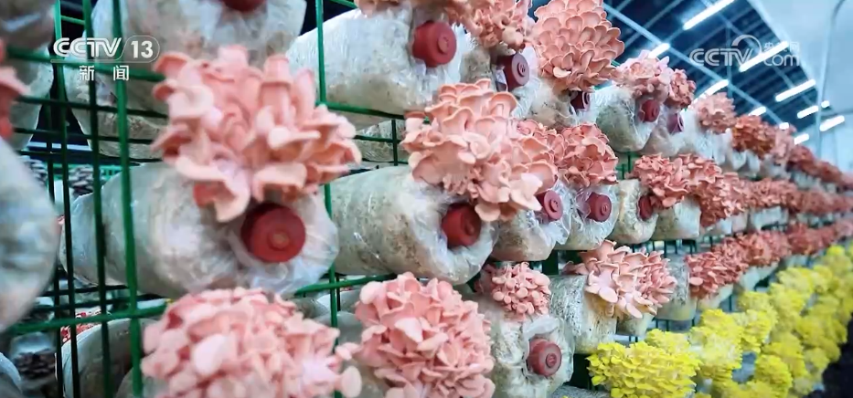 废旧物资变“废”为“宝”有新招循环经济发展空间广阔(图9)