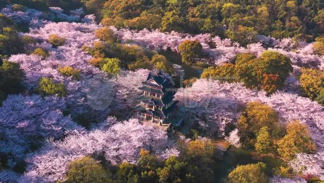 “苏超”一夜爆火背后高人指点？(图6)