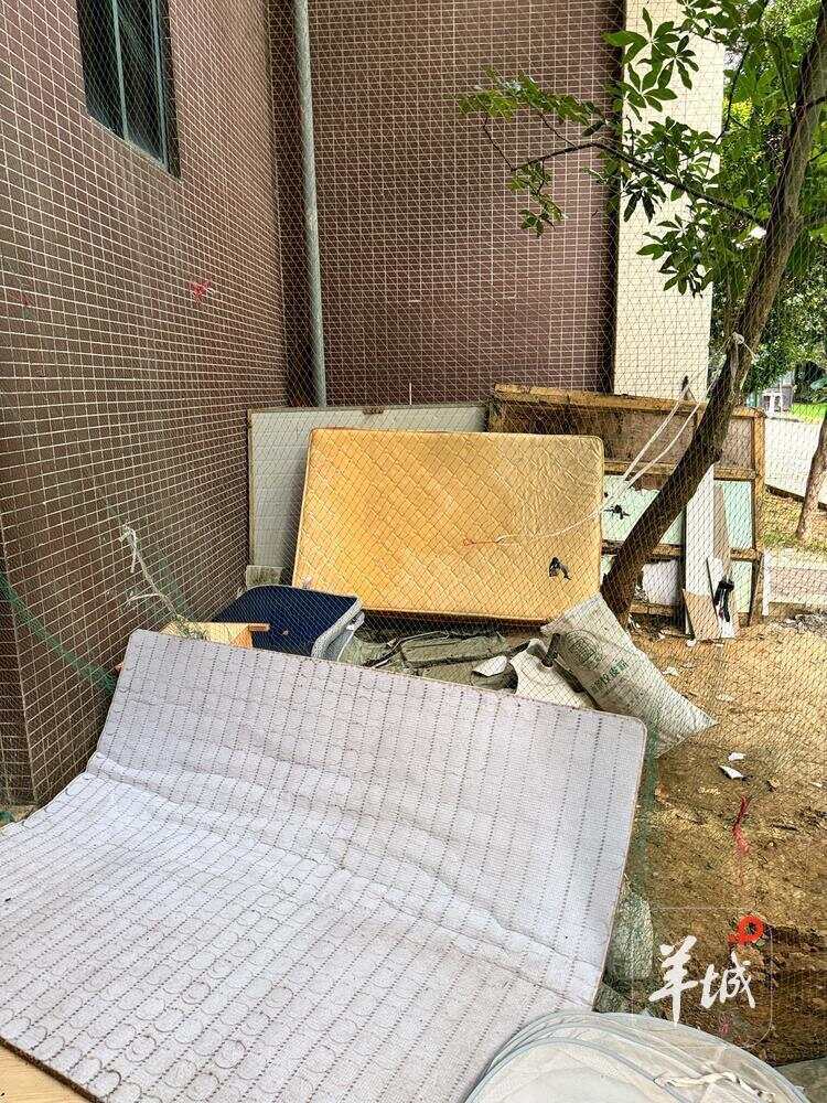 丢个旧沙发、旧书柜怎么比买新的还麻烦？｜茶楼·城事开讲(图4)