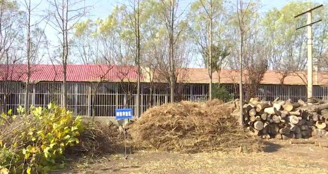 年产1800吨肥料和200吨覆盖物！胶州这个单位废物资源化利用有妙招→(图1)