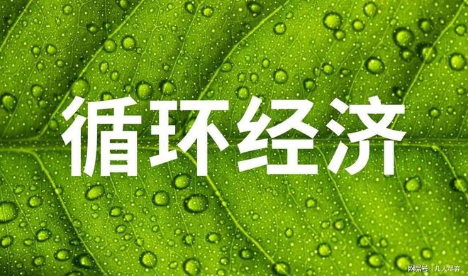 废品堆里挖金矿雪糕六块纸板五块界首人把垃圾变成命脉(图2)