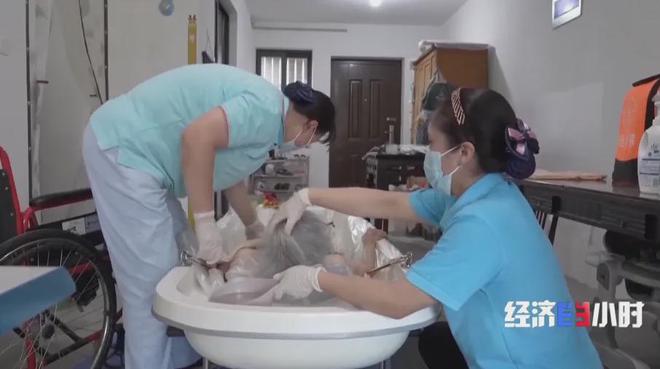 人均100出头吃喝玩乐一整天！闵行这里获央视关注！(图5)