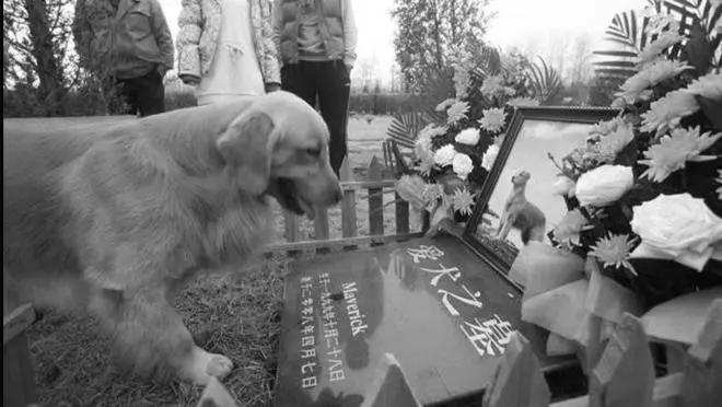 看着不起眼却悄悄赚大钱的5个行业(图3)