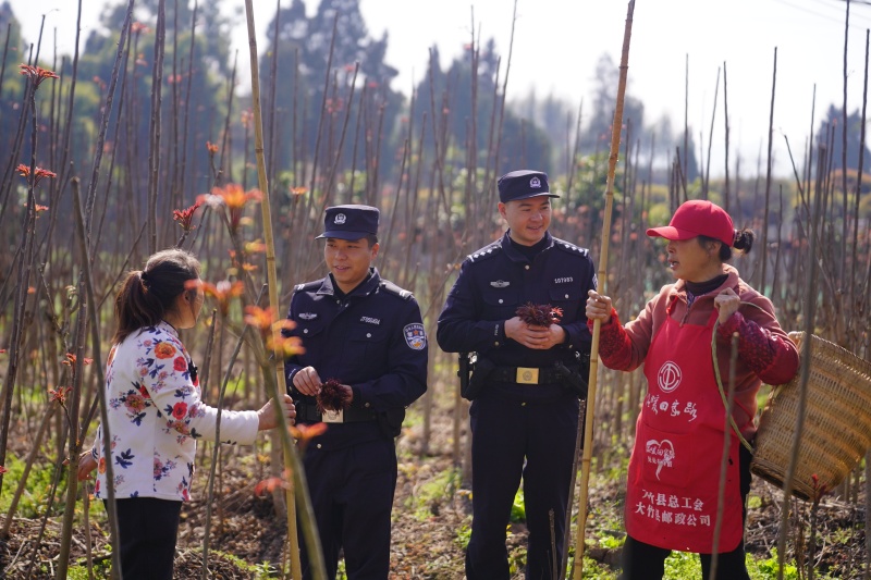 四川大竹：椿芽初绽沐警色法治春风兴大竹(图2)
